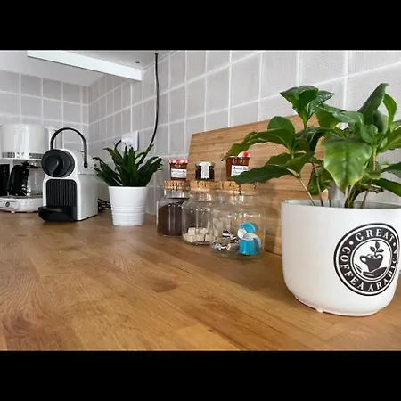 Apartment Le Bateau Ivre- Historique